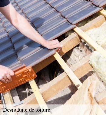 Les travaux de réparation pour les fuites de toiture à Koerich