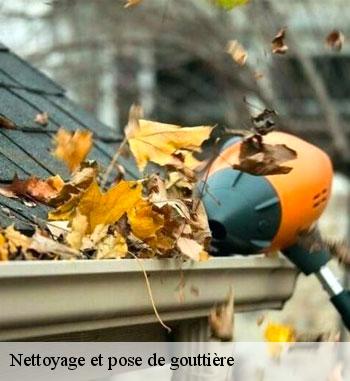 Nettoyage et pose gouttières à Esch-sur-alzette