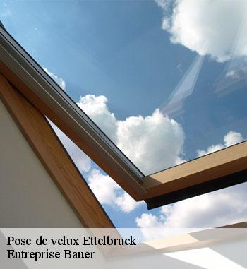 Pose velux à Ettelbruck : des techniques innovantes 